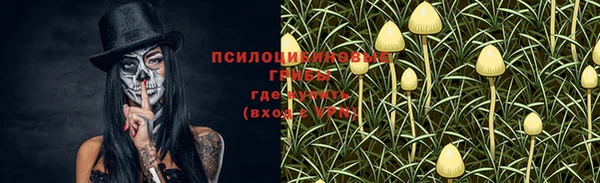 амфетамин Богданович