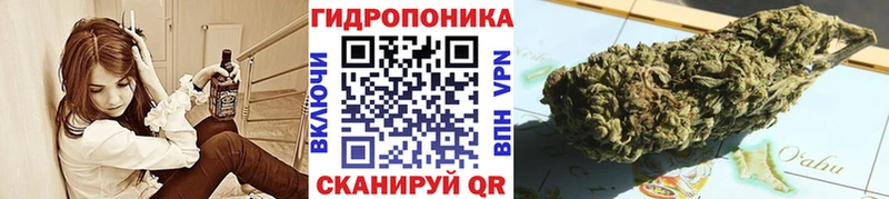 Шишки марихуана AK-47  Долинск 